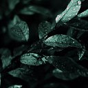���� ����, ������ - ��������� 10 ������ 2020 � ������ ���� ����������