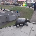  , -, 50  -  17  2020    