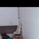 ���� ������, ����-���������, 55 ��� - ��������� 20 ������ 2020