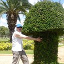 ���� ��������, ����� - ��������� 3 ���� 2020 � ������ ���� ����������