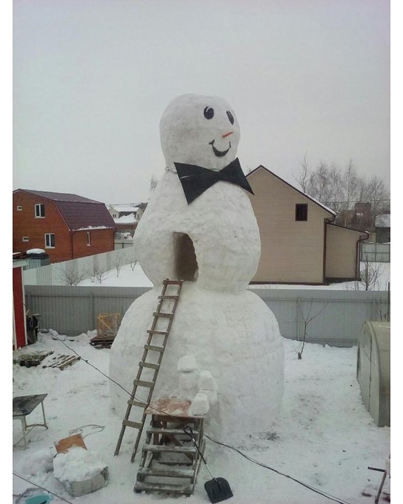   ))