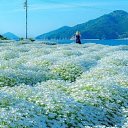 ���� ������, ������ - ��������� 10 ������ 2020 � ������ ���� ����������