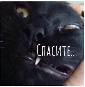       - 4