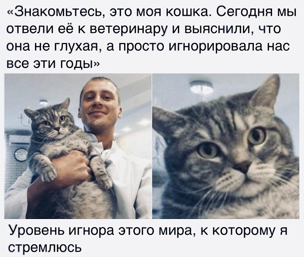    ר! - 13  2020  16:02