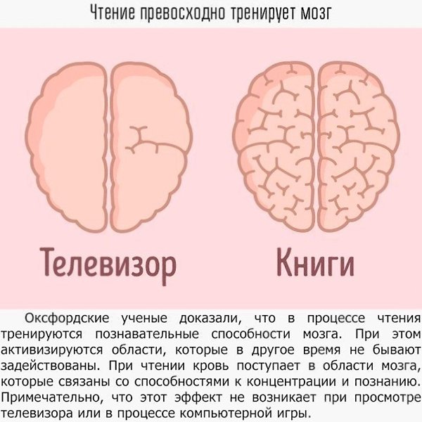 Многие повседневные привычки по-своему влияют на наш мозг.и только нам решать, как хорошо он будет ... - 3