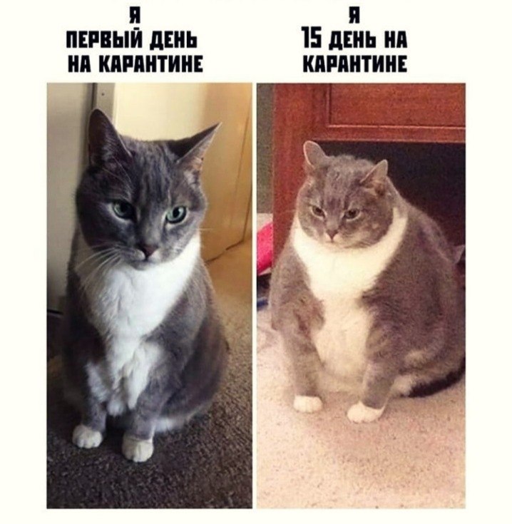 ?    ,          ...