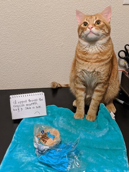 �������� �����������, �������, �� ��� �� �������, �� ��� � ���� ���� �� ���������. - 5