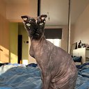 ���� ���, ��������� - ��������� 12 ������ 2020 � ������ ���� ����������