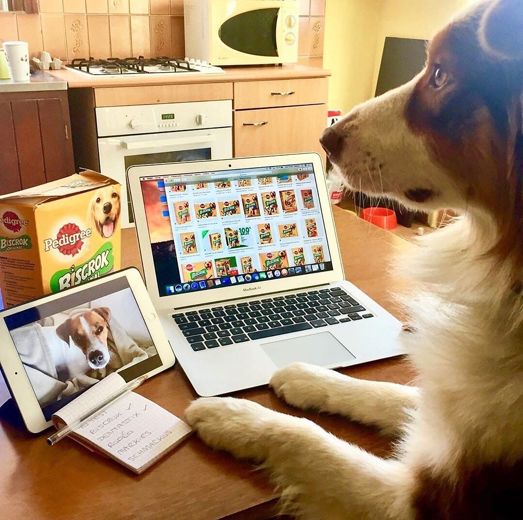 Apple Apps - 5  2020  19:08