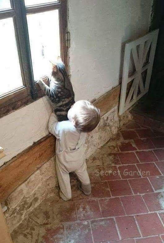 o    o? o  o .   o op .  o ... - 7