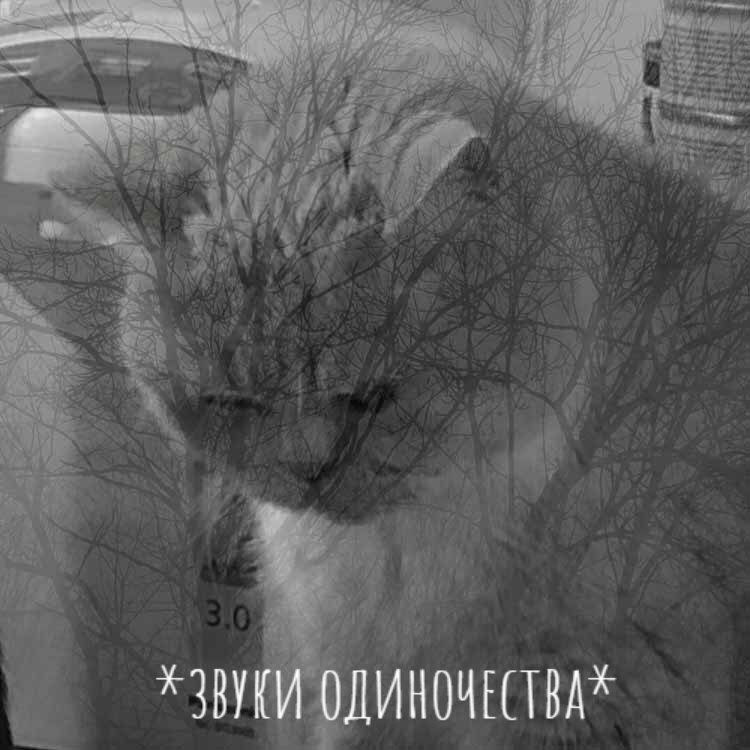 ���������: � � �������� ������ - 4