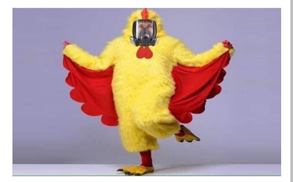       :    ....