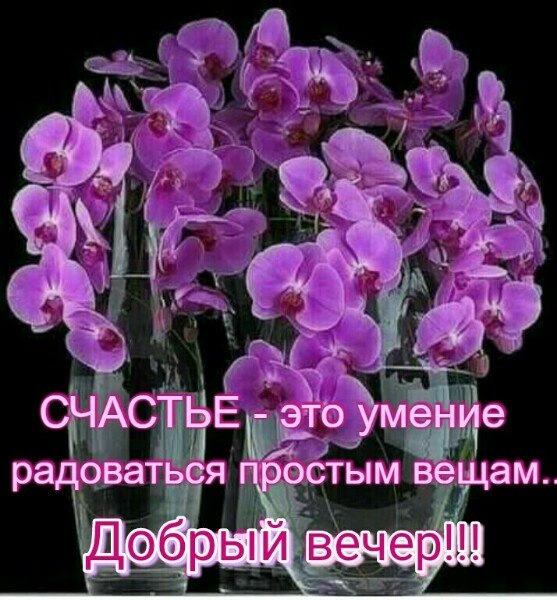   ,    . - 3  2020  19:21 - 6