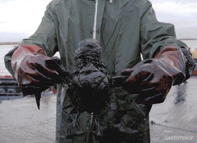           .   ,   . - 4