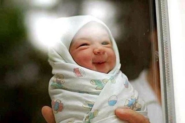  ,   .    .    .   ,  - ...