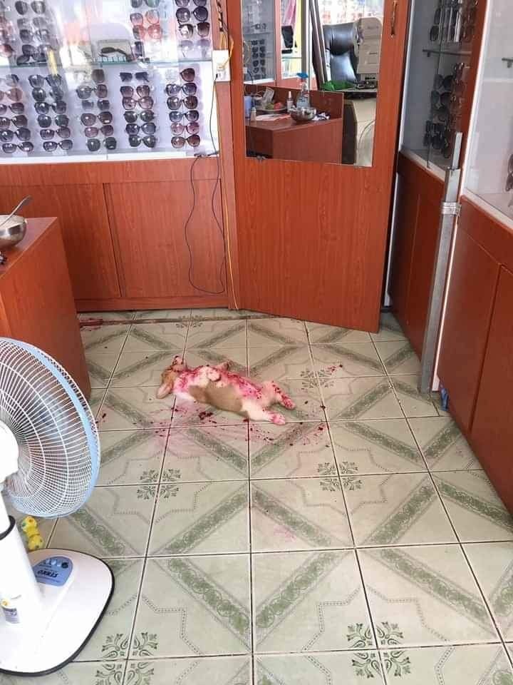     ,    .