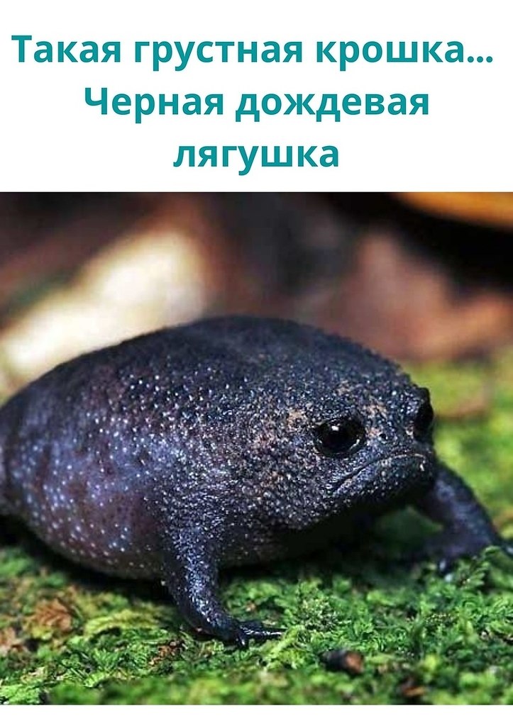LIFE -  - 22  2020  19:06