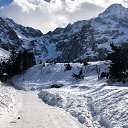 ���� �����, ������, 29 ��� - ��������� 18 ����� 2020 � ������ �Zakopane. Poland�