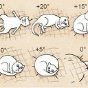 ���� ����, �����������, 50 ��� - ��������� 13 ���� 2020 � ������ ������ ��������