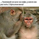 ���� �����, ���� - ��������� 9 ������� 2020 � ������ ���� ����������