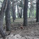  Irishka))),  -  18  2020   ))))