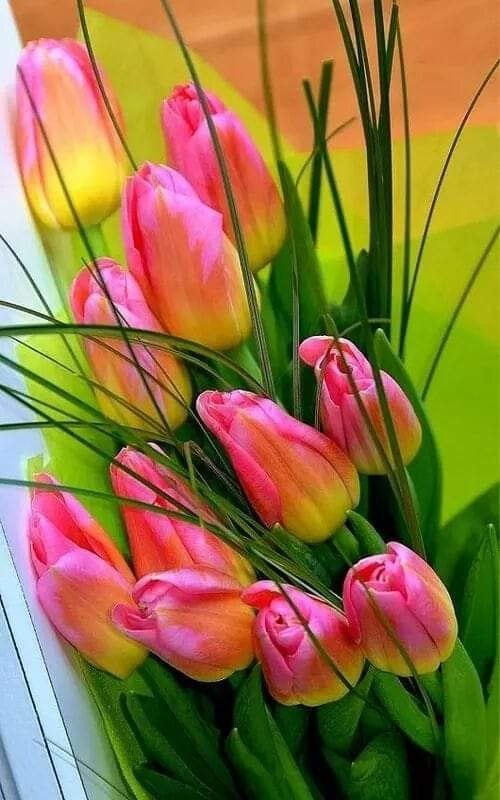 ПРИВЕТСТВИЯ и ПОЖЕЛАНИЯ, открытки на каждый день. - 27 июля 2020 в 18:23 - 2