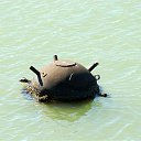  , , 60  -  28  2020   Ի