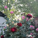  Mehmet, , 45  -  26  2020    