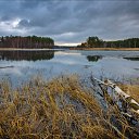 ���� ������, ������, 43 ���� - ��������� 6 ������� 2020 � ������ ���� ����������