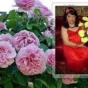 ���� ����, ������ ��������, 67 ��� - ��������� 3 ������ 2020 � ������ ��������� ����� �������