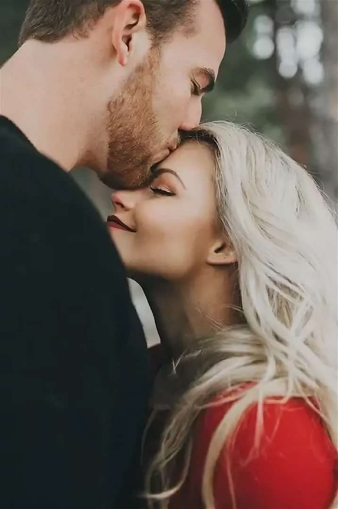   ,   ,    ,    .   , ...