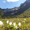 ���� ������, �����-��������� - ��������� 20 �������� 2020 � ������ ���� ����������