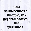 ���� ���������, ���� - ��������� 17 �������� 2020 � ������ ������ ��������