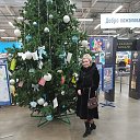 ���� �������, ������������, 44 ���� - ��������� 20 ������ 2020 � ������ ���� ����������