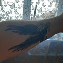 ���� �����, ���������, 39 ��� - ��������� 30 ������� 2020 � ������ ���� ����������