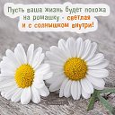 ���� �����, ���������, 41 ��� - ��������� 15 ������� 2020 � ������ ��������