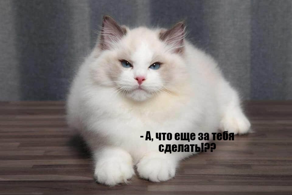       - 9  2020  19:16 - 2
