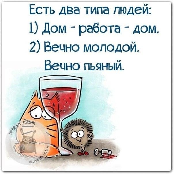   - 7  2021  20:46