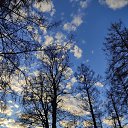 ���� ���������, �����-��������� - ��������� 14 ������ 2020 � ������ �������, ����� 2020�