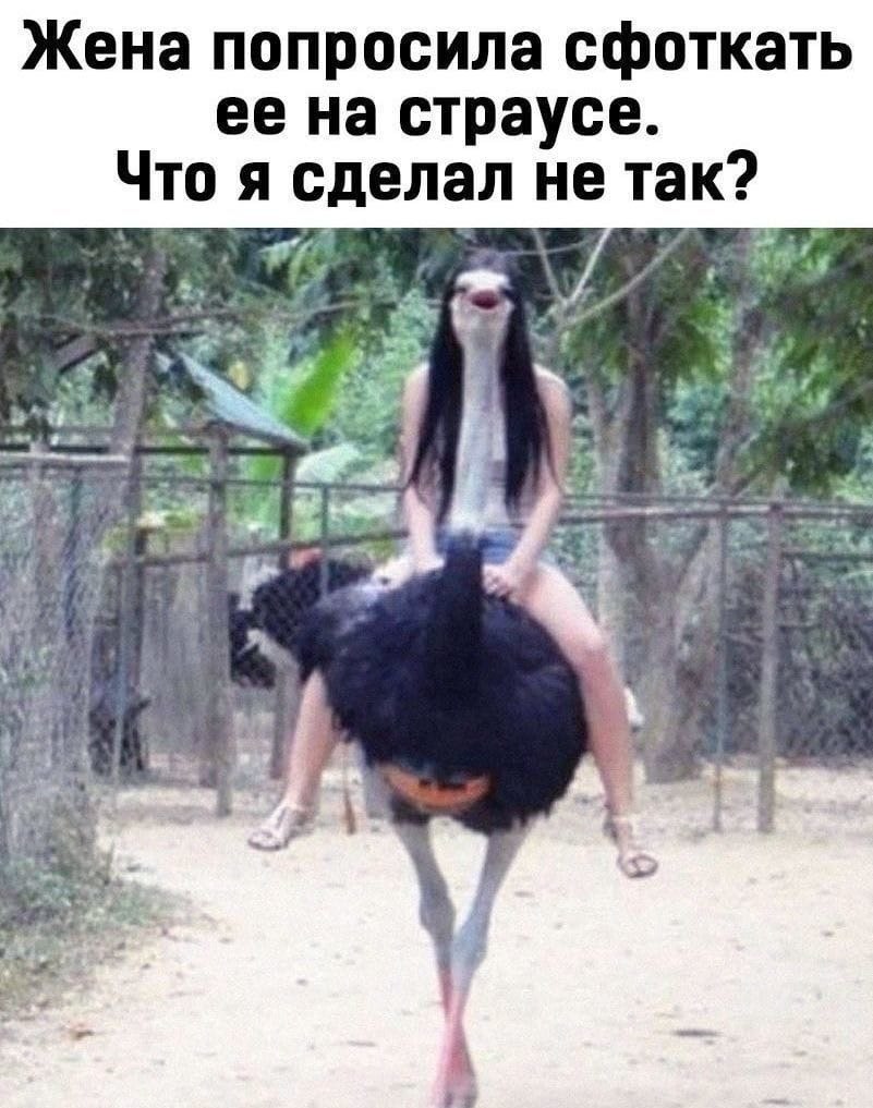   )