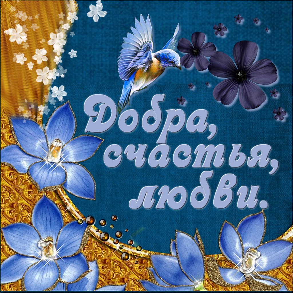   ,    . - 5  2020  19:34 - 10