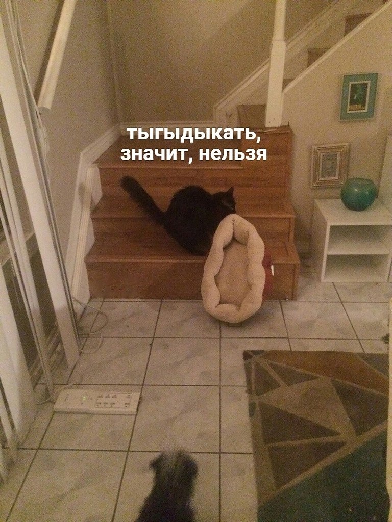   ,          .