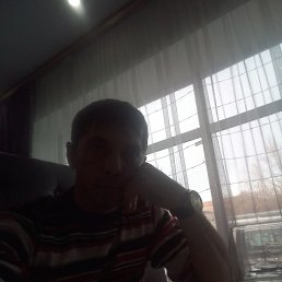 �����, �������, 41 ���