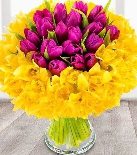    ! I wish everyone good luck! Preji vsem stesti!
