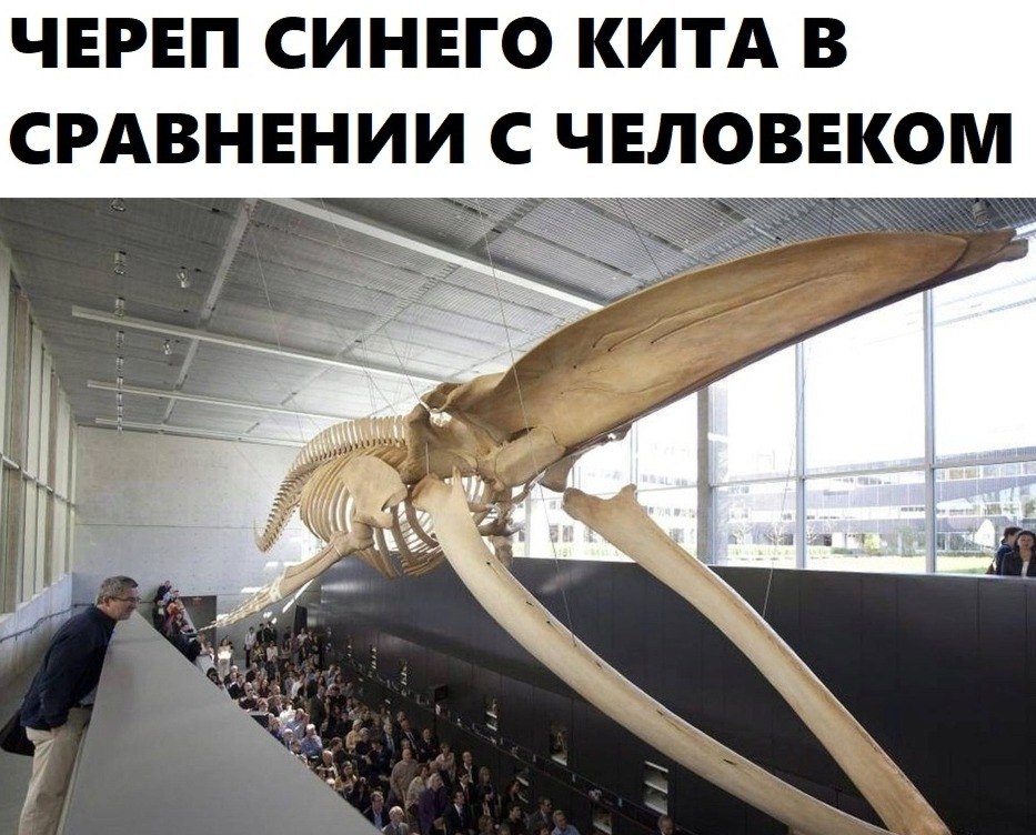 BEST | , ,  - 27  2020  19:07