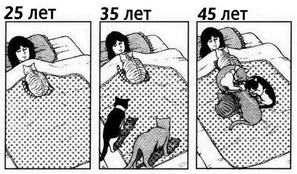     :