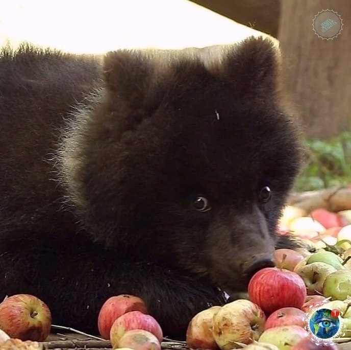 a aa a poa o  a aa p c c p aa  p cac ... - 2