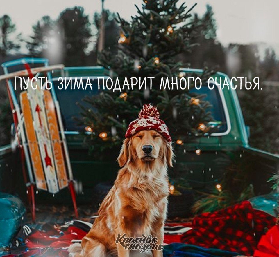   . . . - 2  2021  08:36