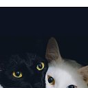 ���� Toni, ������� - ��������� 4 ������� 2020 � ������ ���� ����������