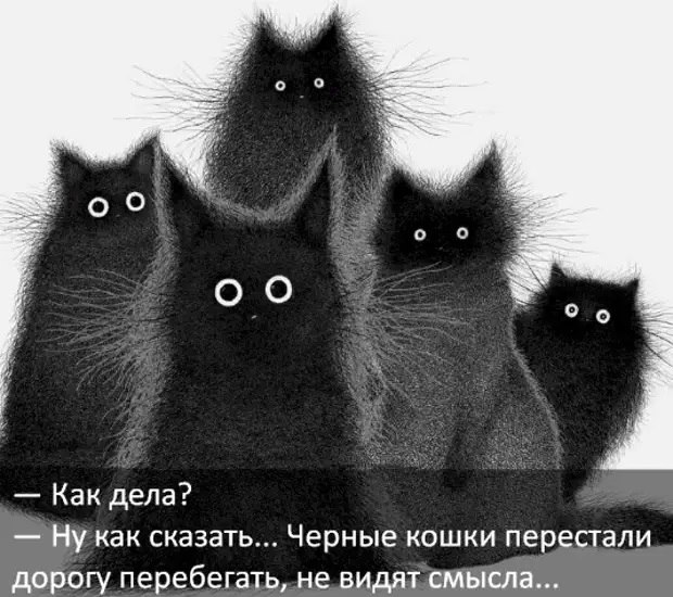  - 18  2020  11:16